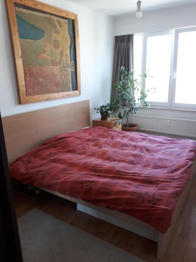 Marrespension Brüksel Dış mekan fotoğraf